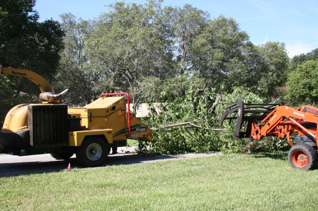 07 Feeding trees into the chipper